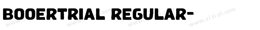 booertrial regular字体转换 booertrial regular字体转换